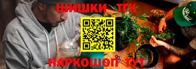 индика Обнинск