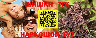 индика Обнинск