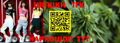 индика Обнинск