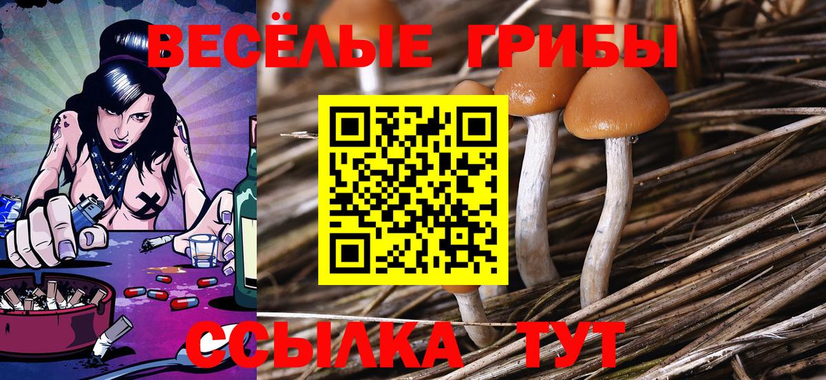 Галлюциногенные грибы Cubensis Тайшет