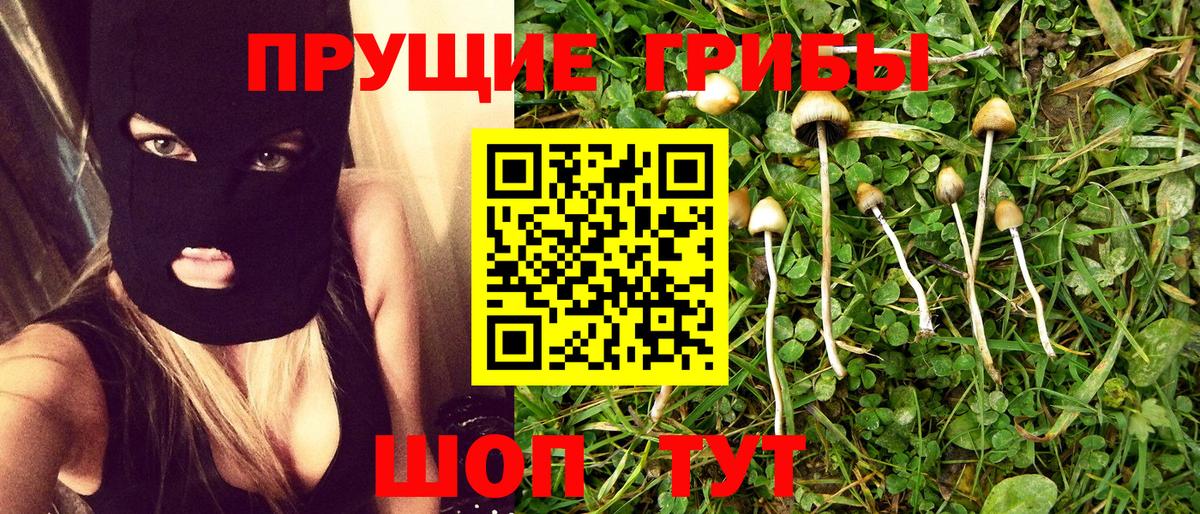 Псилоцибиновые грибы Psilocybe  Вход с VPN  Тайшет  Галлюциногенные грибы прущие грибы 